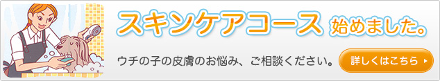 スキンケアコース